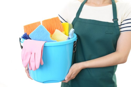 Professional carpet cleaning for a Catford living room