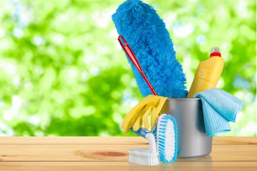 Professional pet stain and odour treatment for carpet in a Catford home