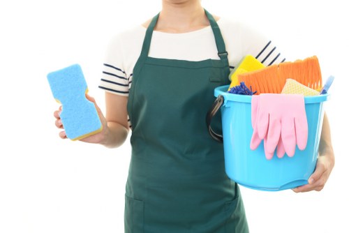 Professional house cleaning service for homes in Catford