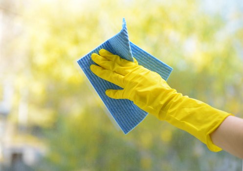 Professional patio cleaning in Catford on a residential paved garden area