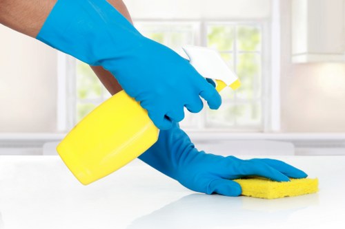 Local cleaners working in a Catford flat with access considerations