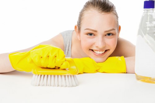 Professional cleaning of stained brickwork and render in Catford