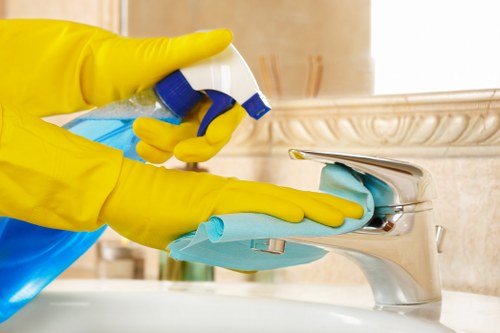 Local cleaner handling pet stain extraction in a Catford flat