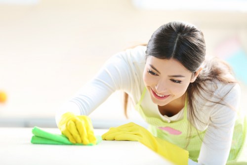Kitchen and bathroom cleaning in a Catford household