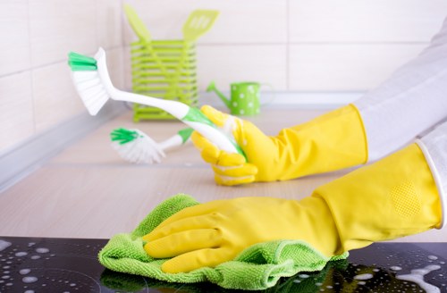 Professional mattress cleaning service in a Catford home bedroom