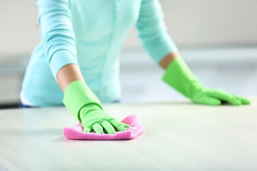 Spot cleaning a rug with specialist stain removal products