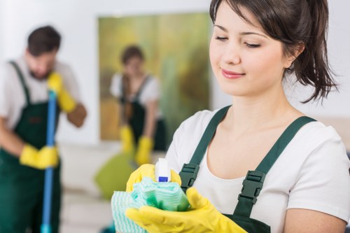 Clean windows and frames for a Catford home or business