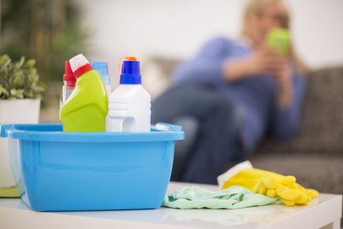 Routine domestic cleaning for a family property in Catford
