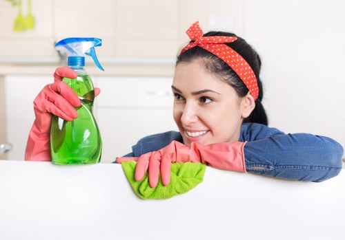 Deep cleaning tasks for bathrooms and kitchens in Catford homes