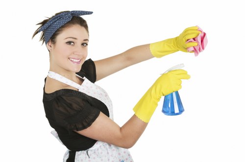 Professional domestic cleaning for homes near Catford