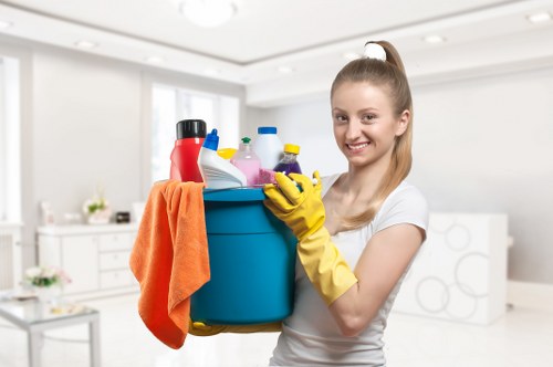 Mattress cleaning process for homes and rentals in Catford