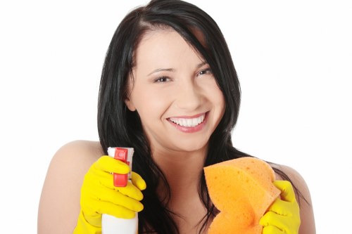Bathroom one-off cleaning and sanitising in Catford