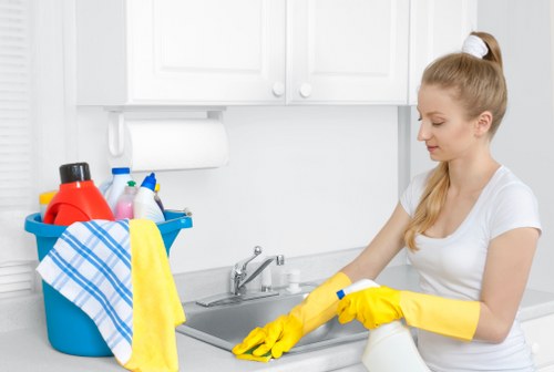 Regular home cleaning for a busy family in Catford