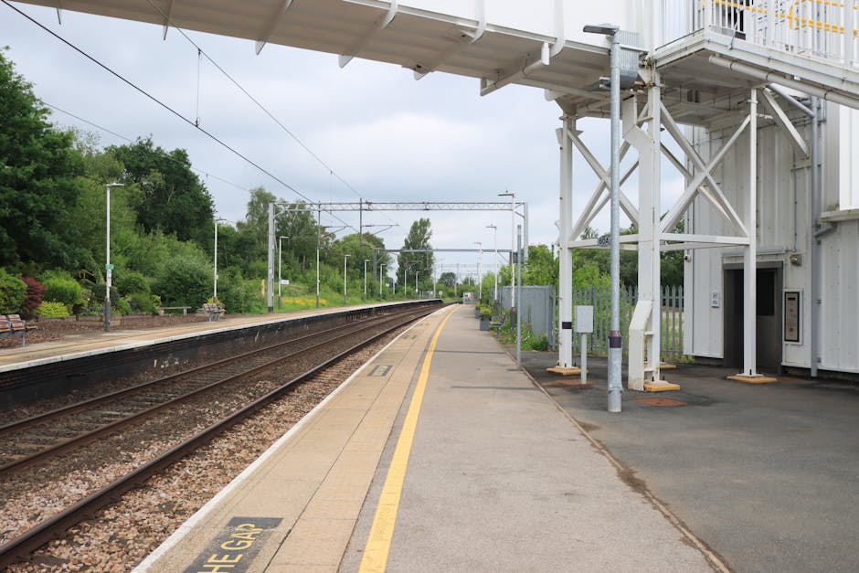 A spacious, covered railway station platform at Catford Bridge, featuring a curved, metal and glass roof structure with intricate ironwork supporting transparent panels that allow natural light to ill